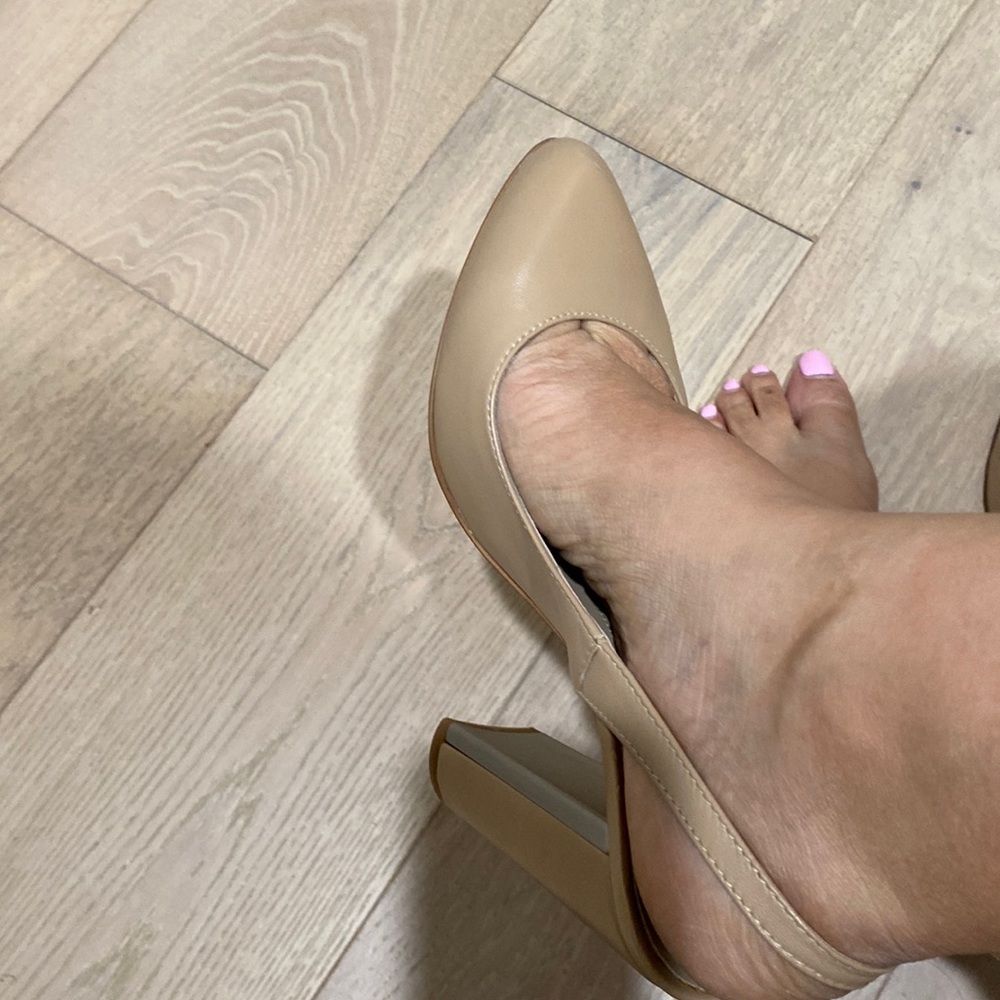 BCBG size 38